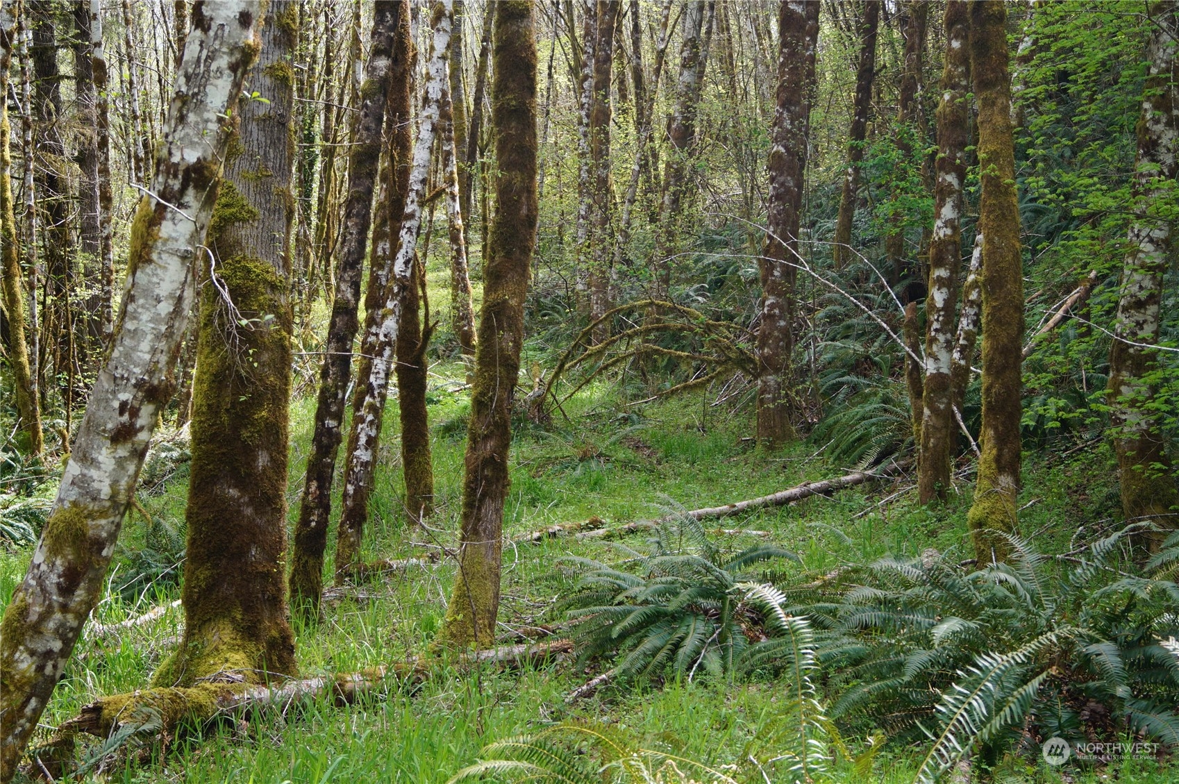2.2 Garrard Creek Road Rochester, WA 98579 - Photo 7 of 10