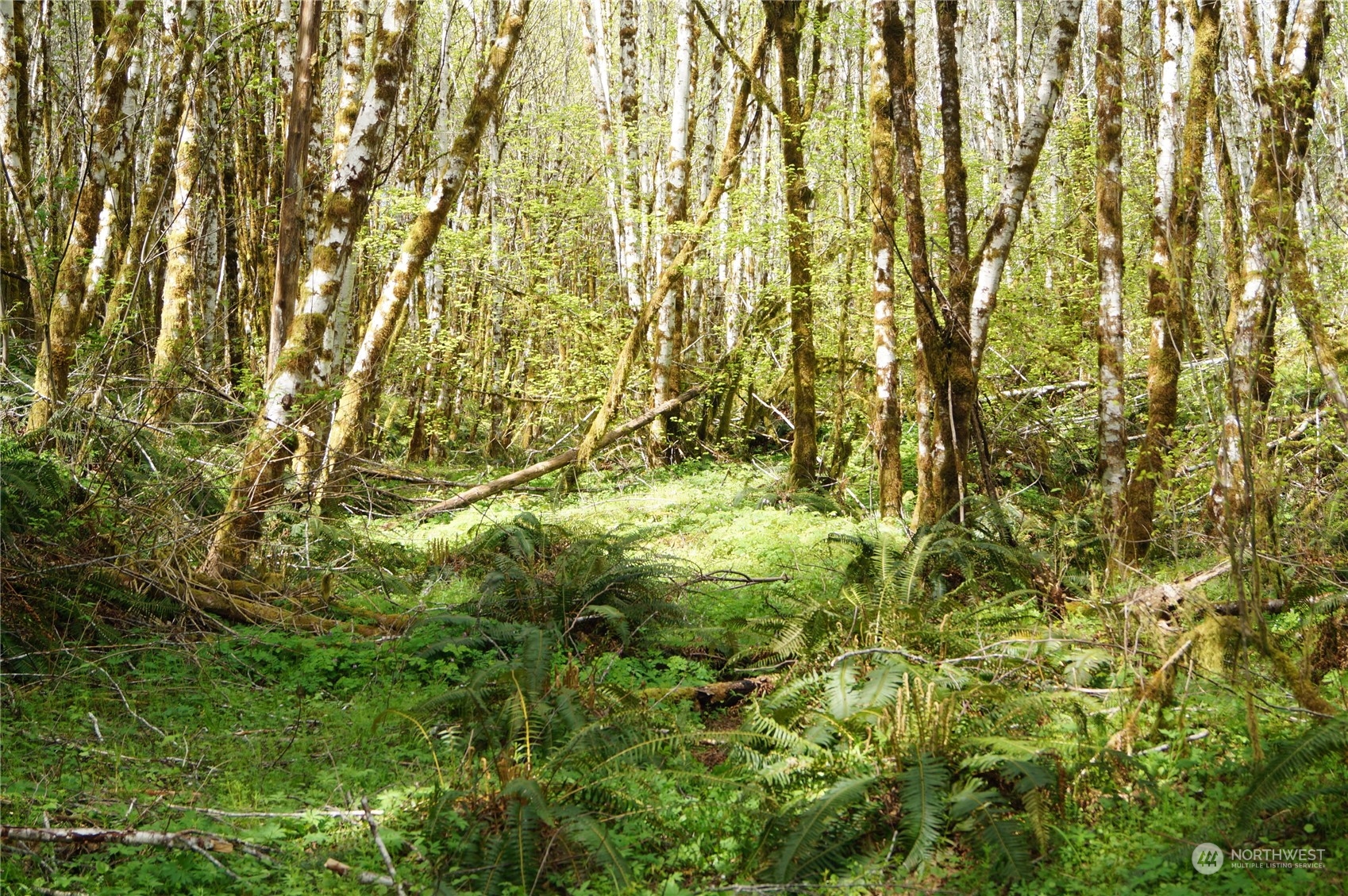2.2 Garrard Creek Road Rochester, WA 98579 - Photo 10 of 10