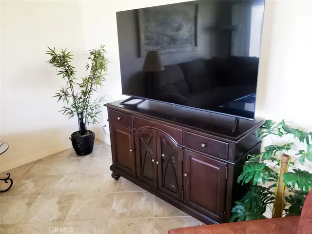 a closeup of a potted plant