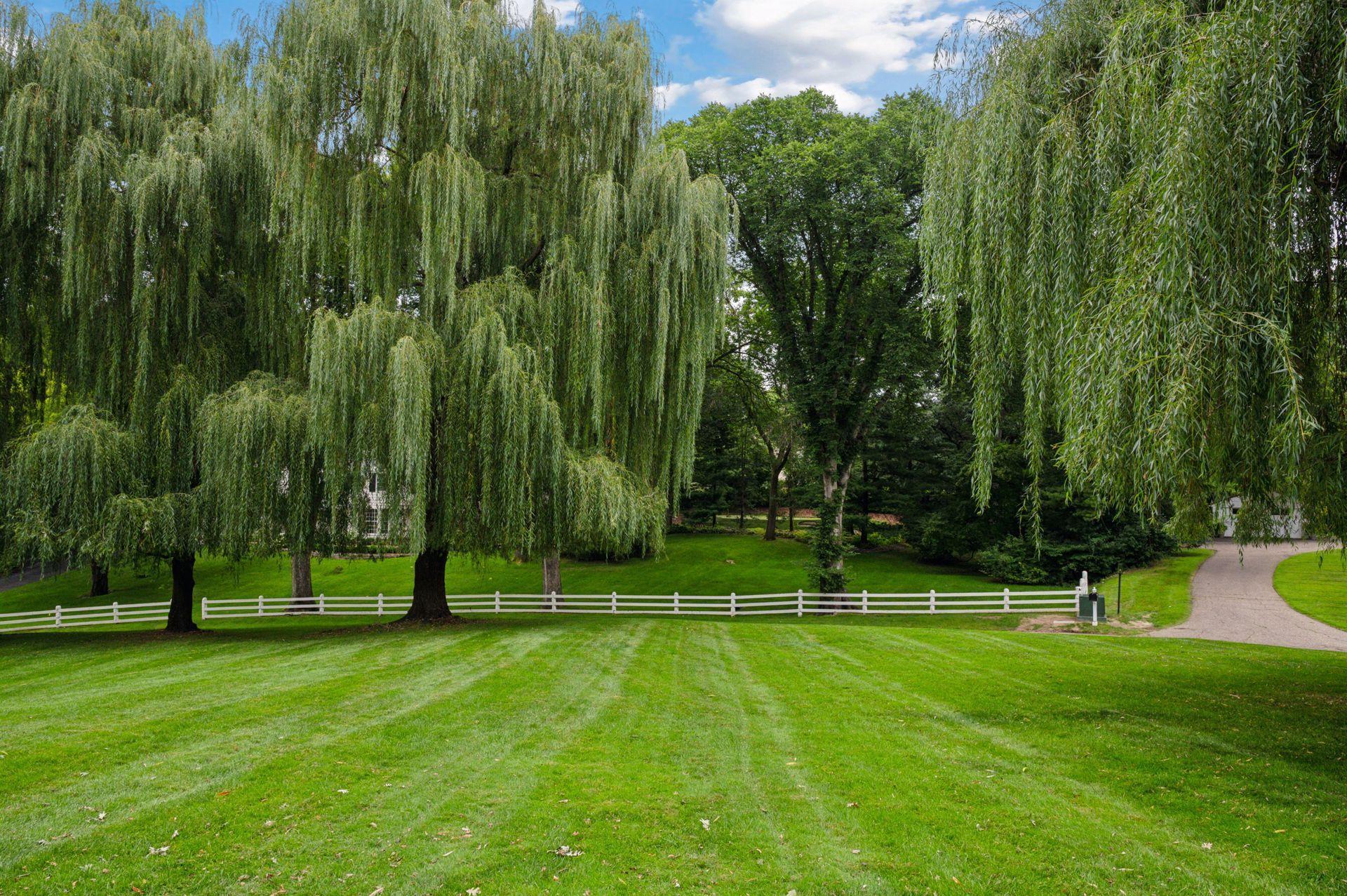 12 Merilane Edina, MN 55436 - Photo 3 of 14