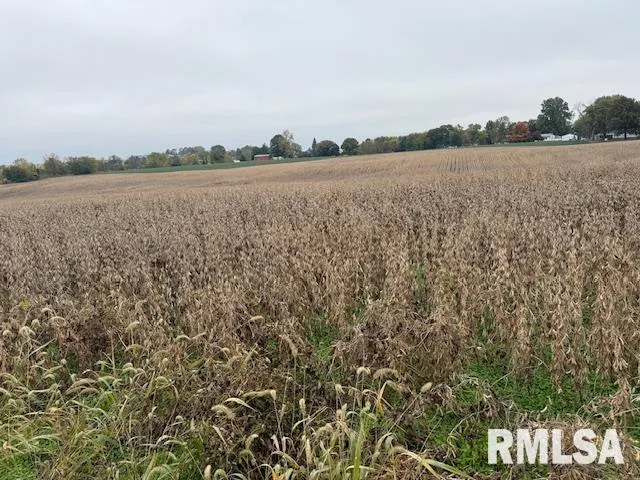 $359,000 | Vacant Land North Fulton Street, Payson, IL 62360