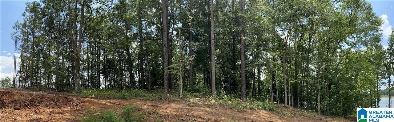 Lot 23 Cove Road, Unit 23 Sylacauga, AL 35151 - Photo 9 of 13