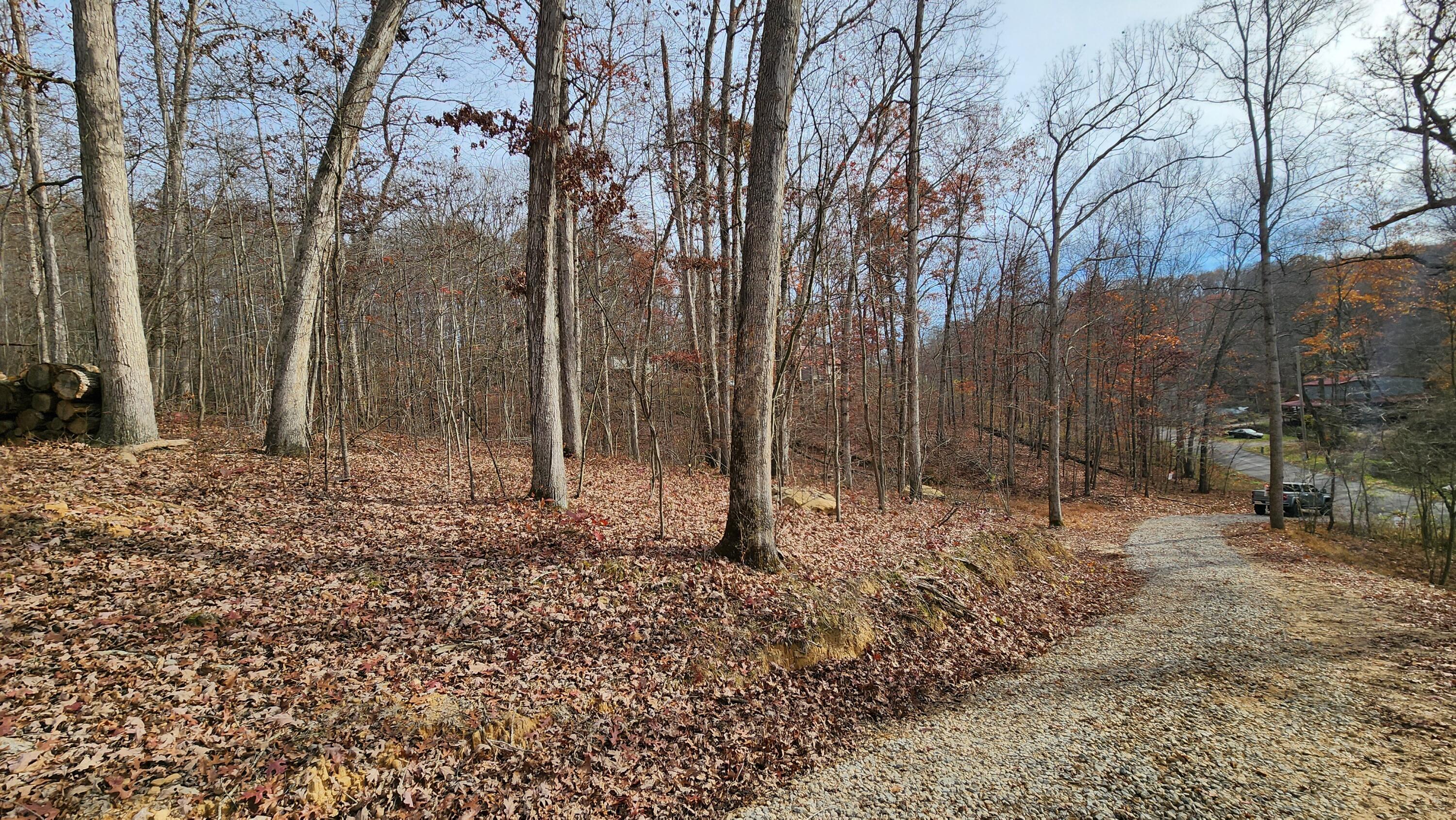 0 Jisco Road, Unit TRACT B) Jackson, OH 45640 - Photo 28 of 43 28