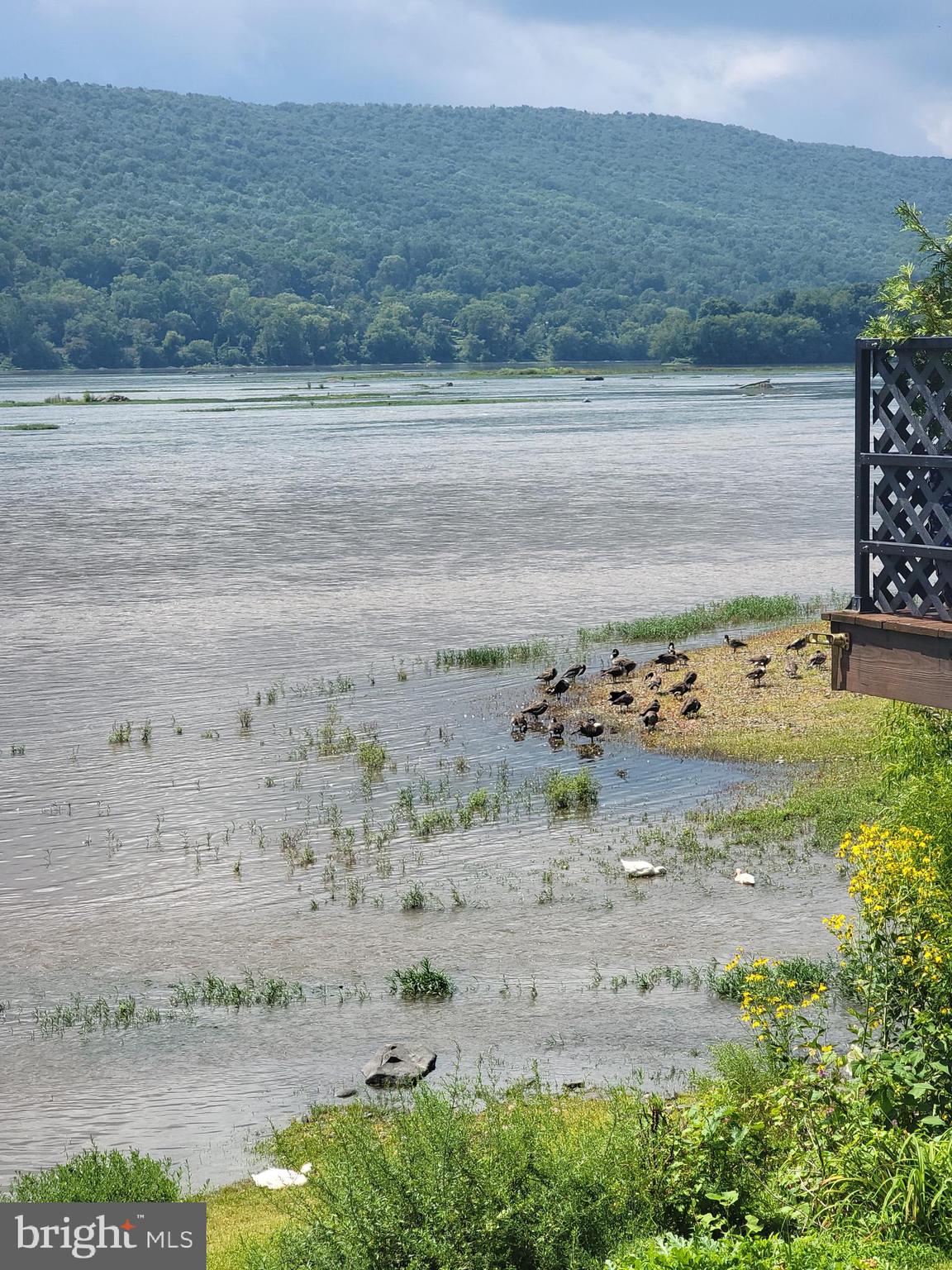 422 River Road Dauphin, PA 17018 - Photo 39 of 45