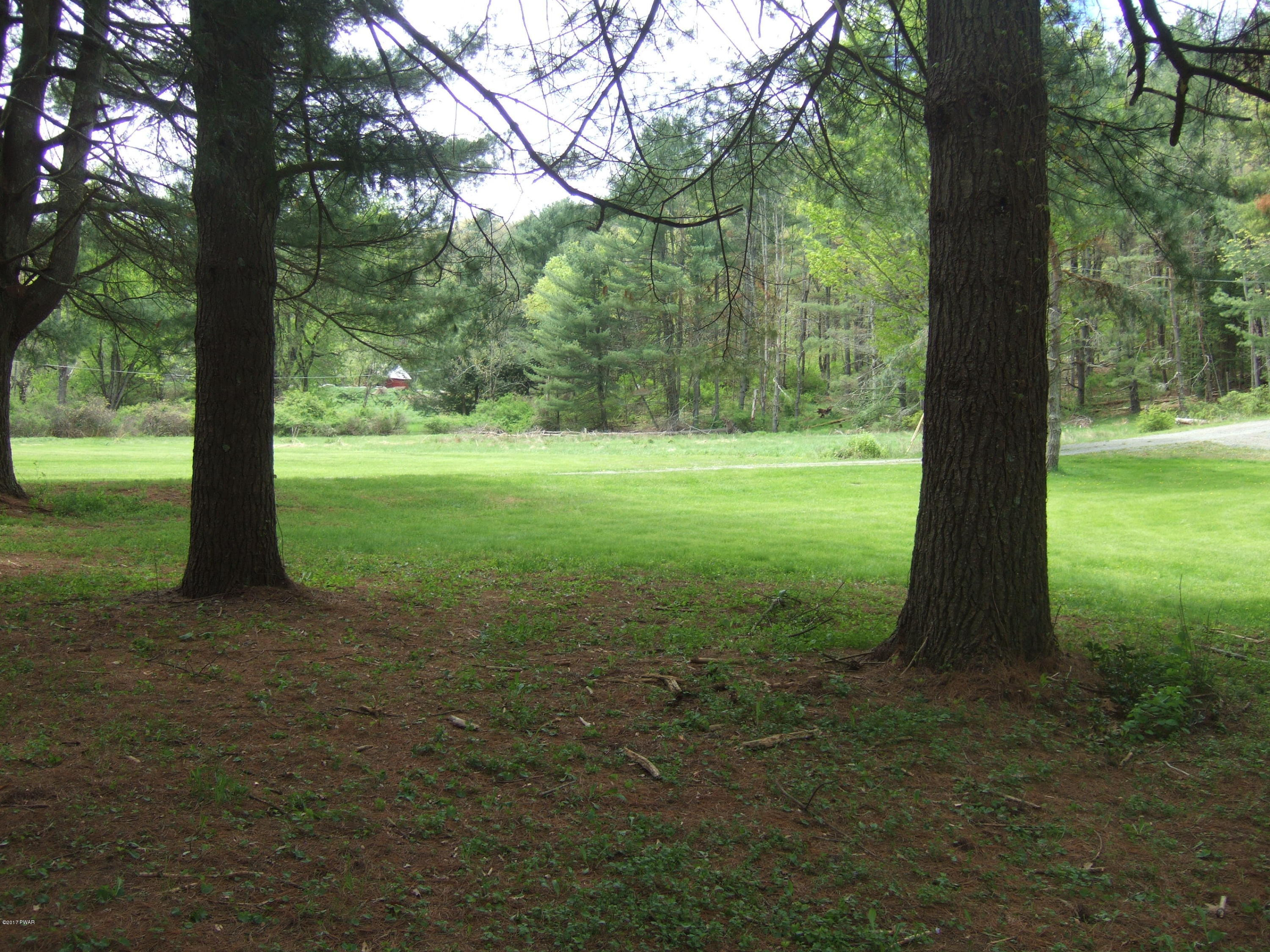 20 Old Peggy Runway Road Beach Lake, PA 18405 - Photo 1 of 26 Park Like Setting