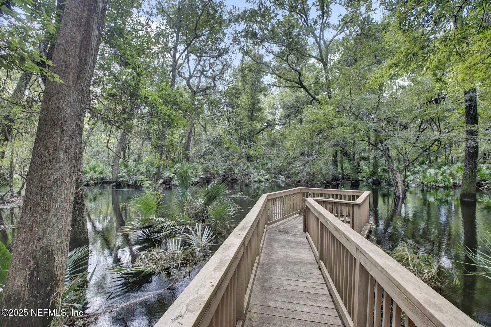 3565 Red Cloud Trail St. Augustine, FL 32086 - Photo 44 of 56 a view of balcony and yard