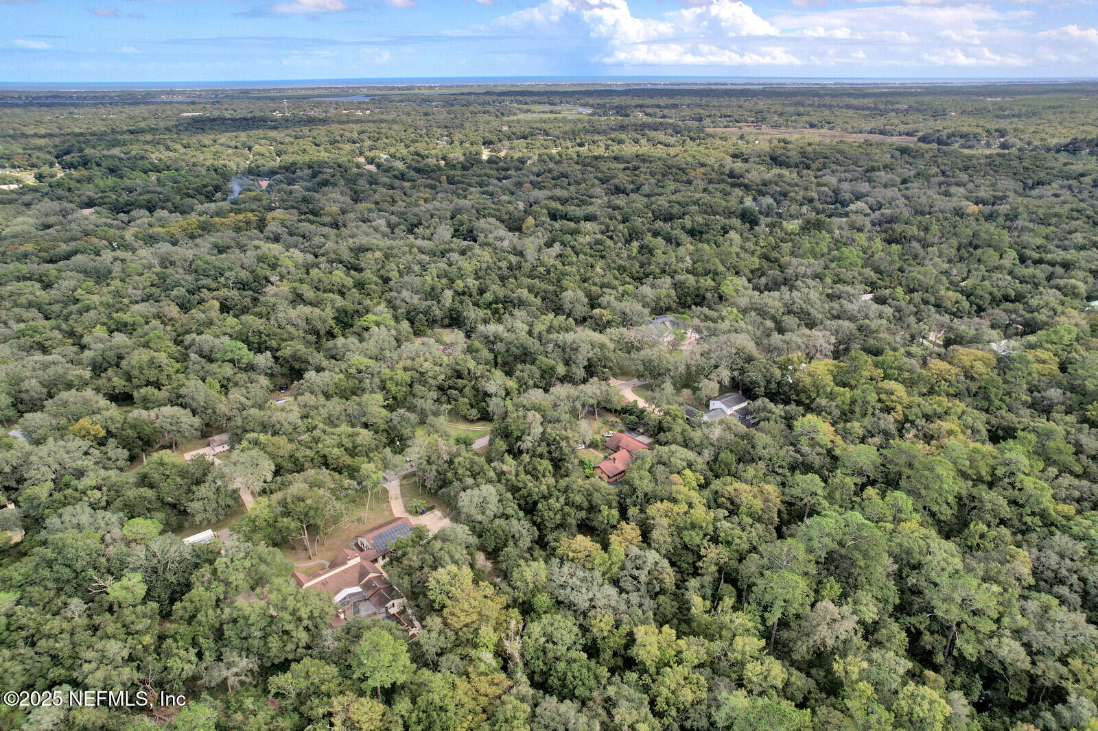 3565 Red Cloud Trail St. Augustine, FL 32086 - Photo 55 of 56 an aerial view of residential houses with outdoor space and trees