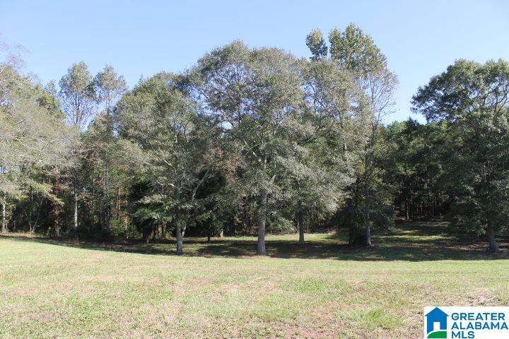 3258 Youngs Mill Road Lineville, AL 36266 - Photo 25 of 50