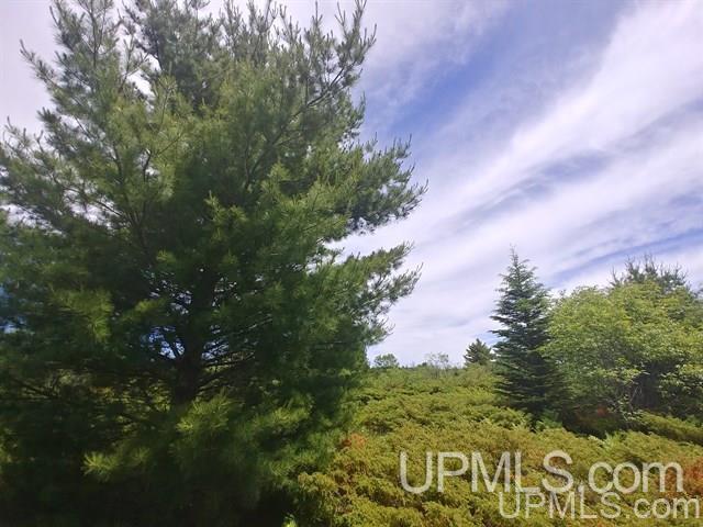 40-acres Davidson Road Manistique, MI 49854 - Photo 16 of 30 Gallery Image 16