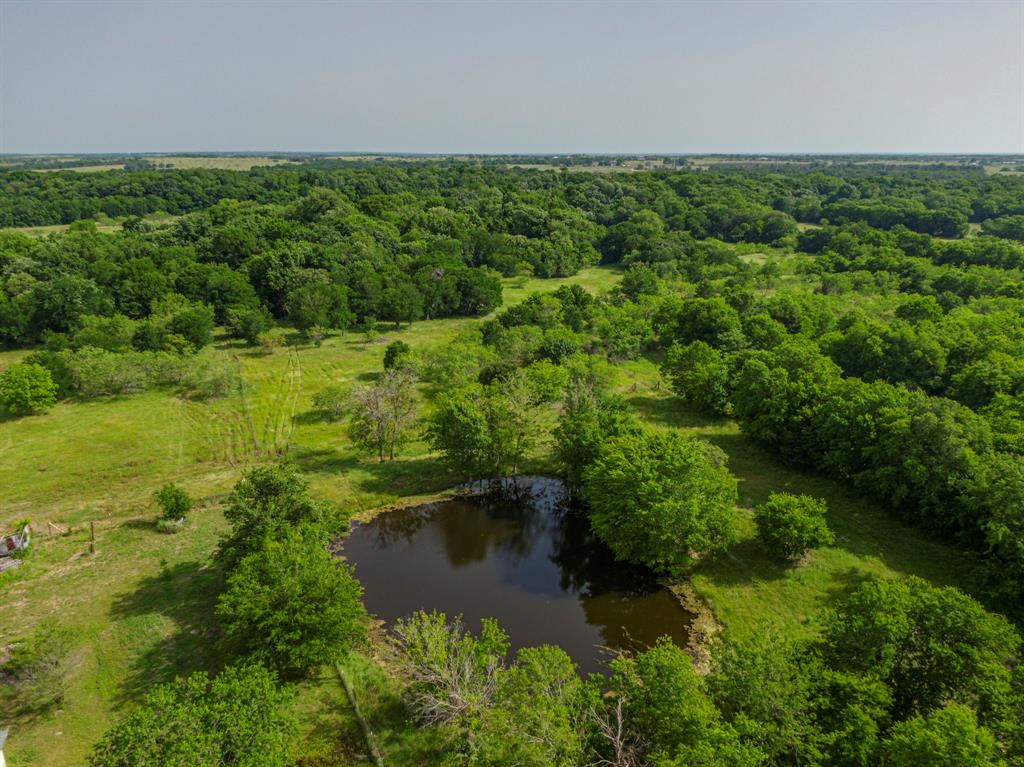 0 Old Telico Road Ennis, TX 75119 - Photo 6 of 13 a view of a garden