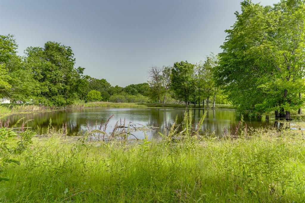 0 Old Telico Road Ennis, TX 75119 - Photo 7 of 13 a body of water with a tree in the background