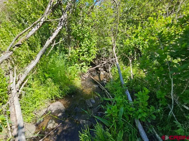 a backyard of a house with lots of green space and a lake view