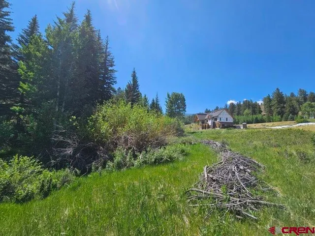 a view of a garden with a tree in the background