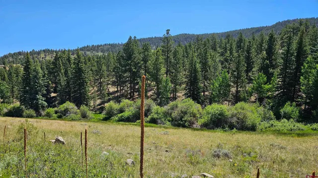 a view of a house with a big yard
