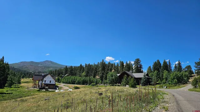 a view of a backyard