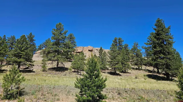 a view of a yard with a tree