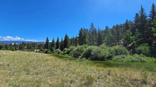 a view of a grassy field with trees in the background