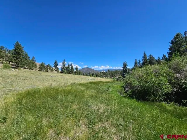 a view of a lush green space with sea