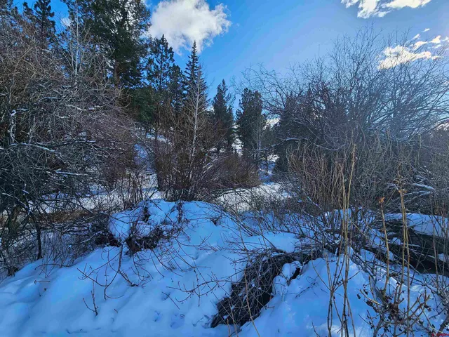 a view of a snow on the snow