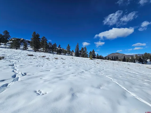 a view of a backyard of a house