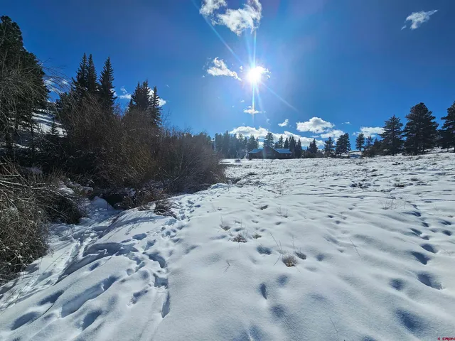 a view of a backyard of a house