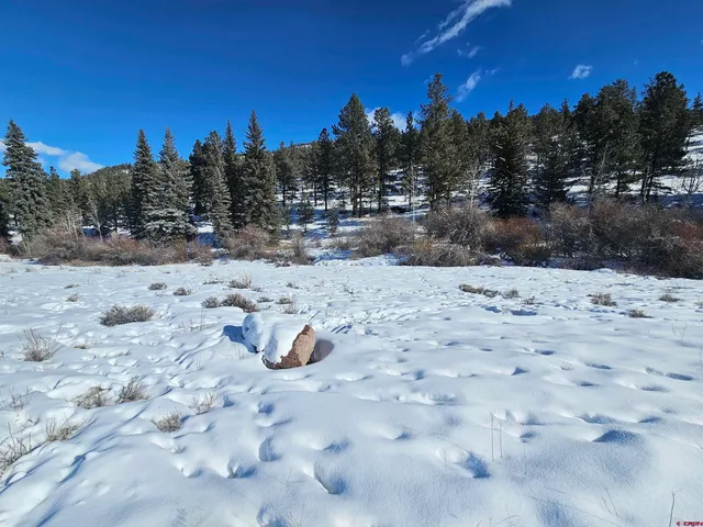a view of a backyard of a building