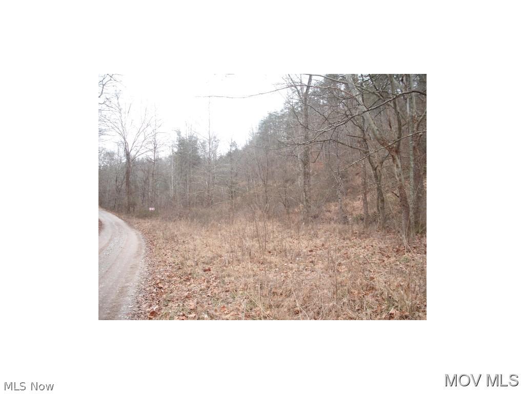 0 Plum Orchard Road Ripley, WV 25271 - Photo 12 of 12