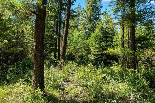 $1,190,000 | Nna Graham Avenue, Priest River, ID 83856