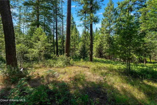 $1,190,000 | Nna Graham Avenue, Priest River, ID 83856