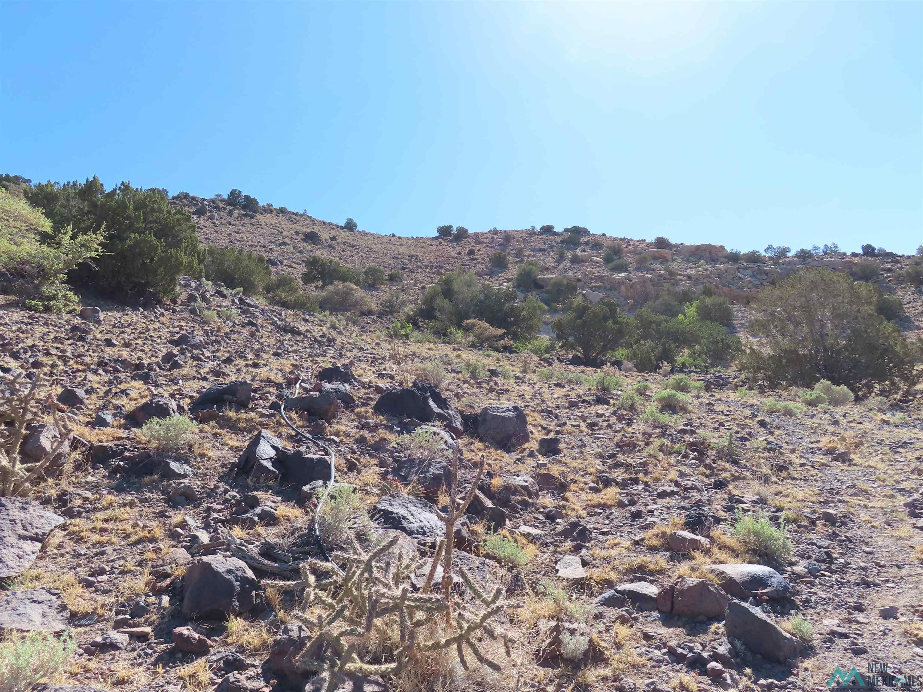 Tbd Rinconada Road San Fidel, NM 87049 - Photo 30 of 40