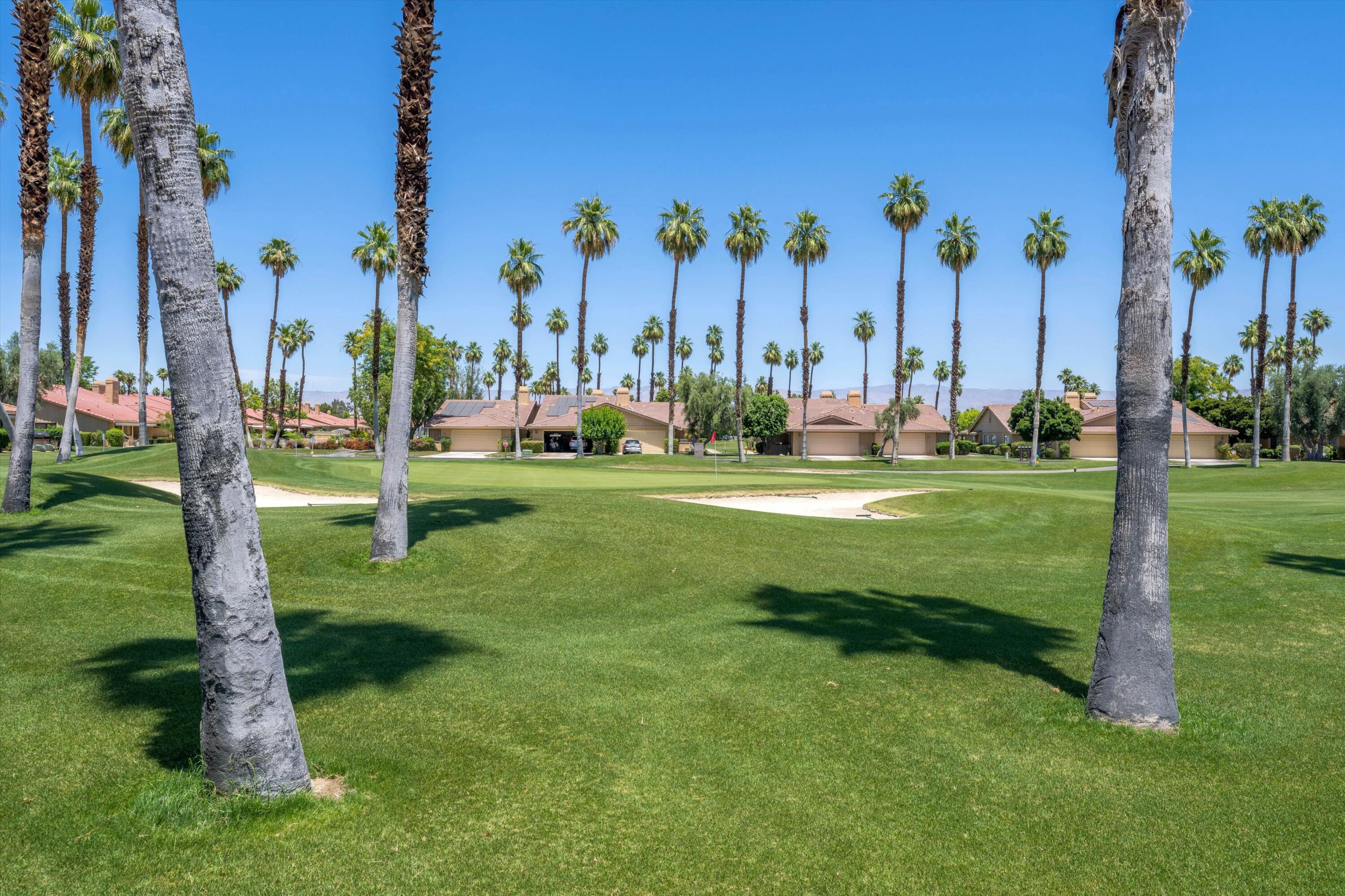 56 Maximo Way Palm Desert, CA 92260 - Photo 8 of 29 a view of a park with palm trees