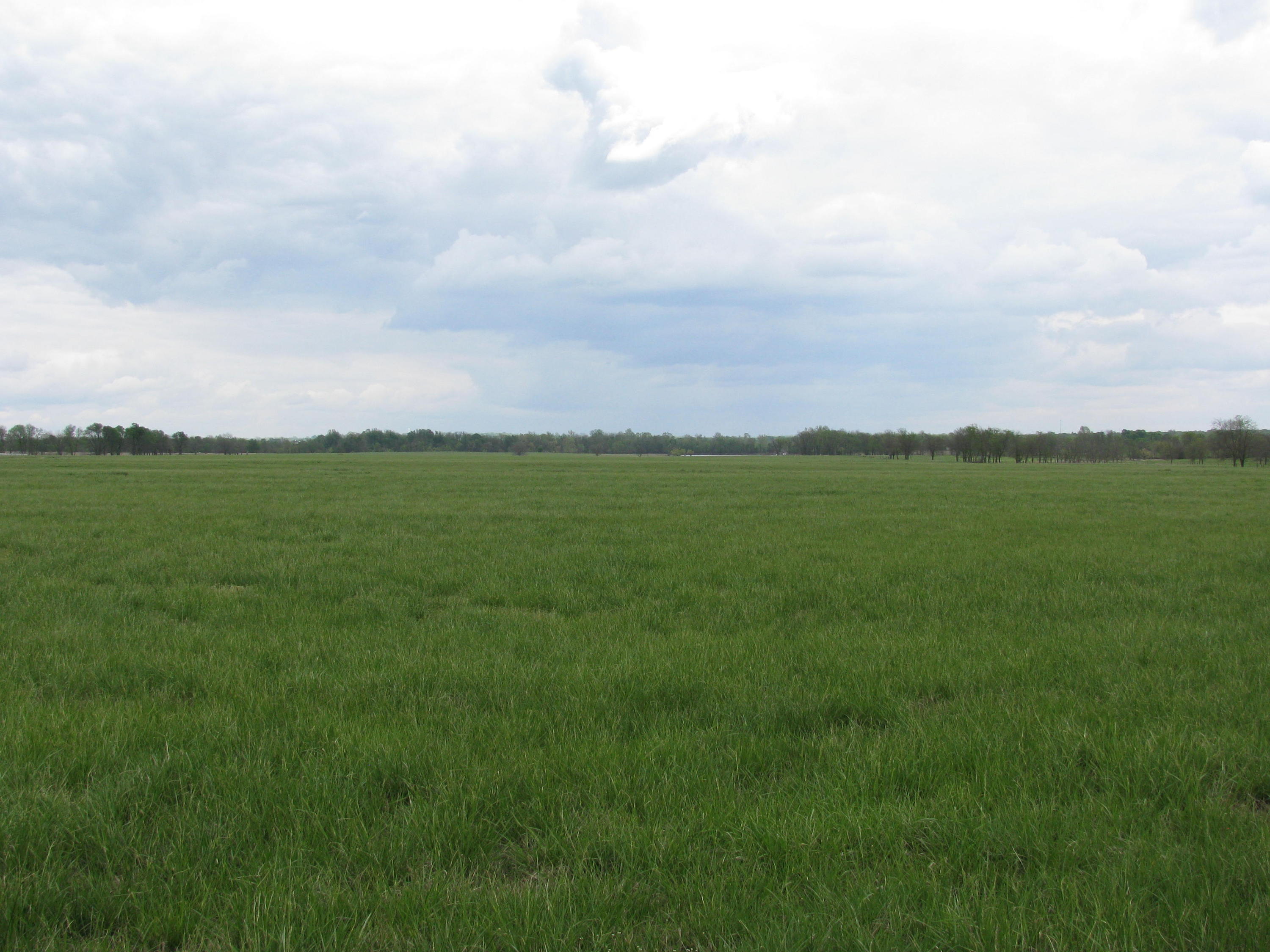 31648 South 4490 Road Afton, OK 74331 - Photo 17 of 68 Gallery Image 17