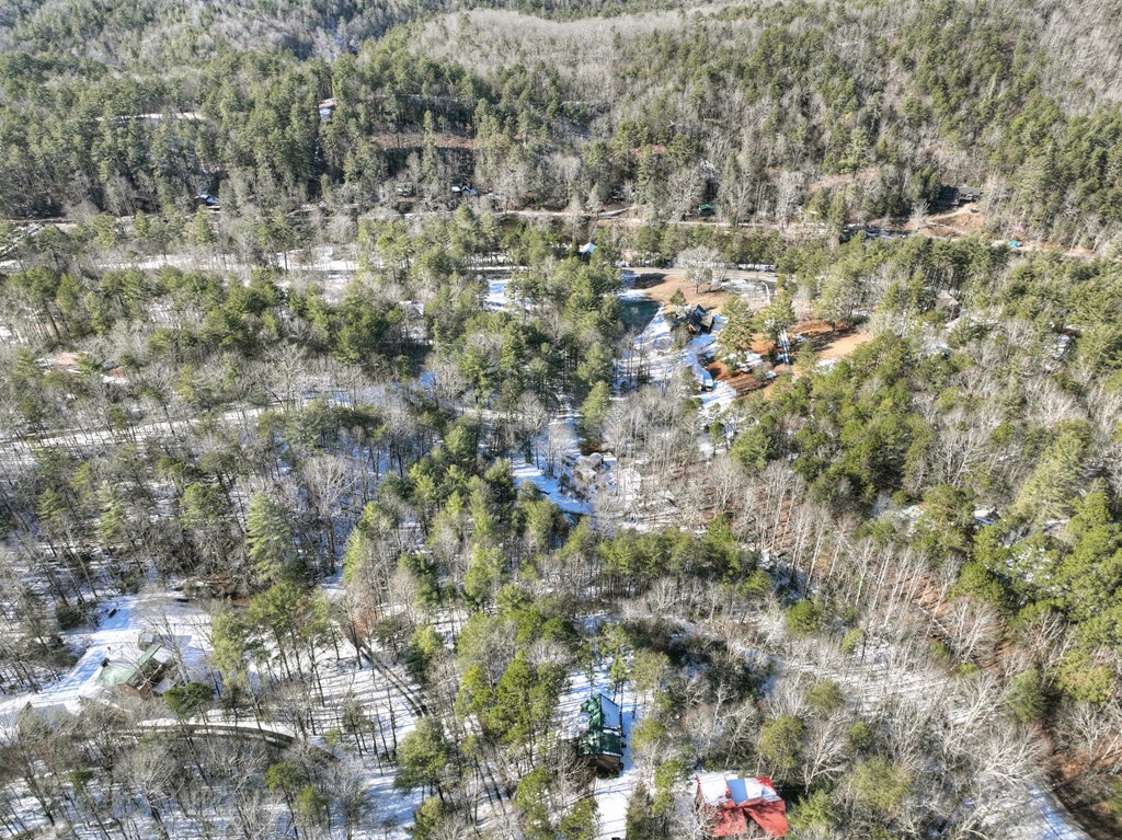 176 White Tail Ridge Blue Ridge, GA 30513 - Photo 49 of 51 Gallery Image 49