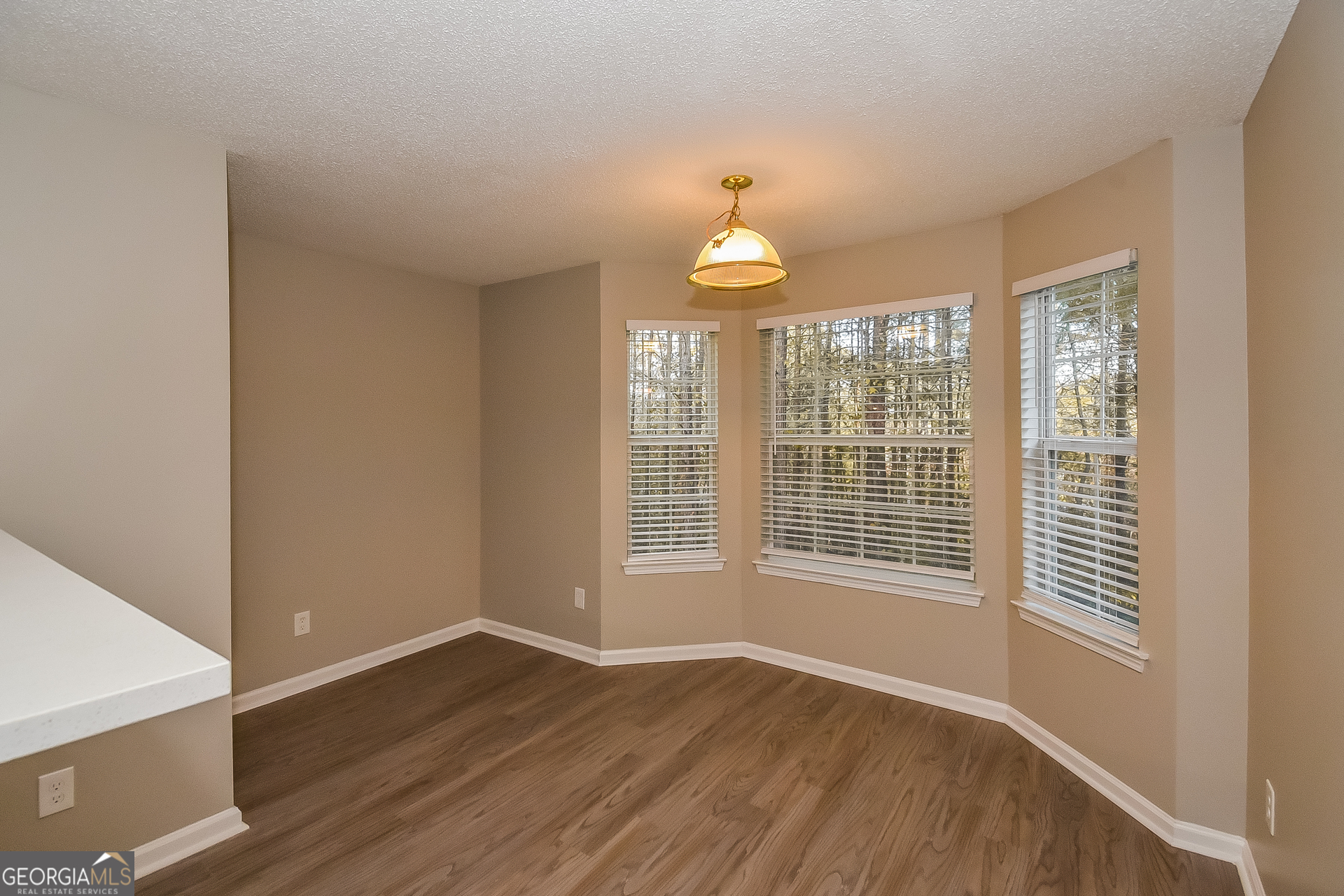 4232 Basinside Court Douglasville, GA 30135 - Photo 4 of 17