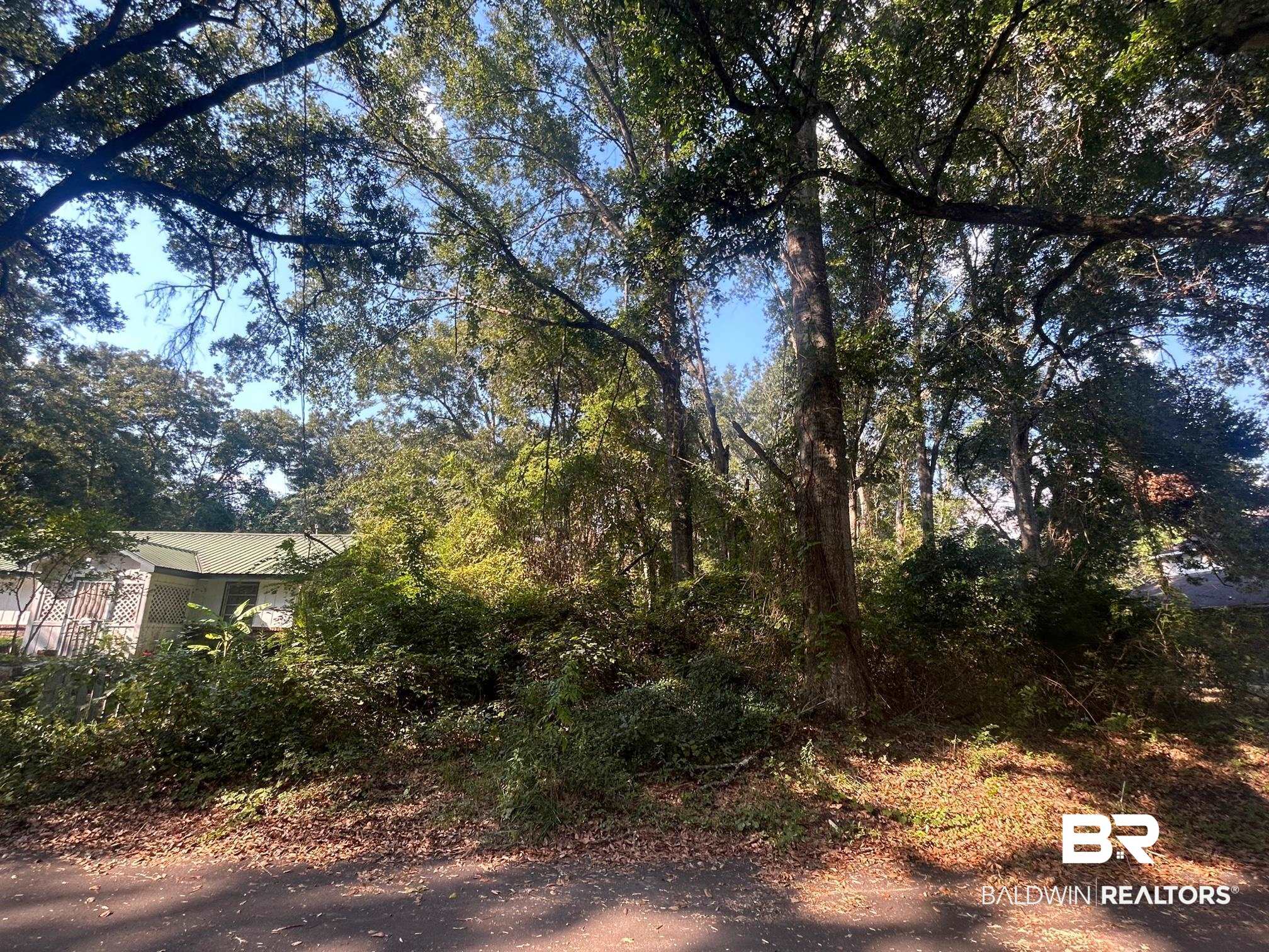 0 1st Street Mobile, AL 36608 - Photo 4 of 5 View of yard