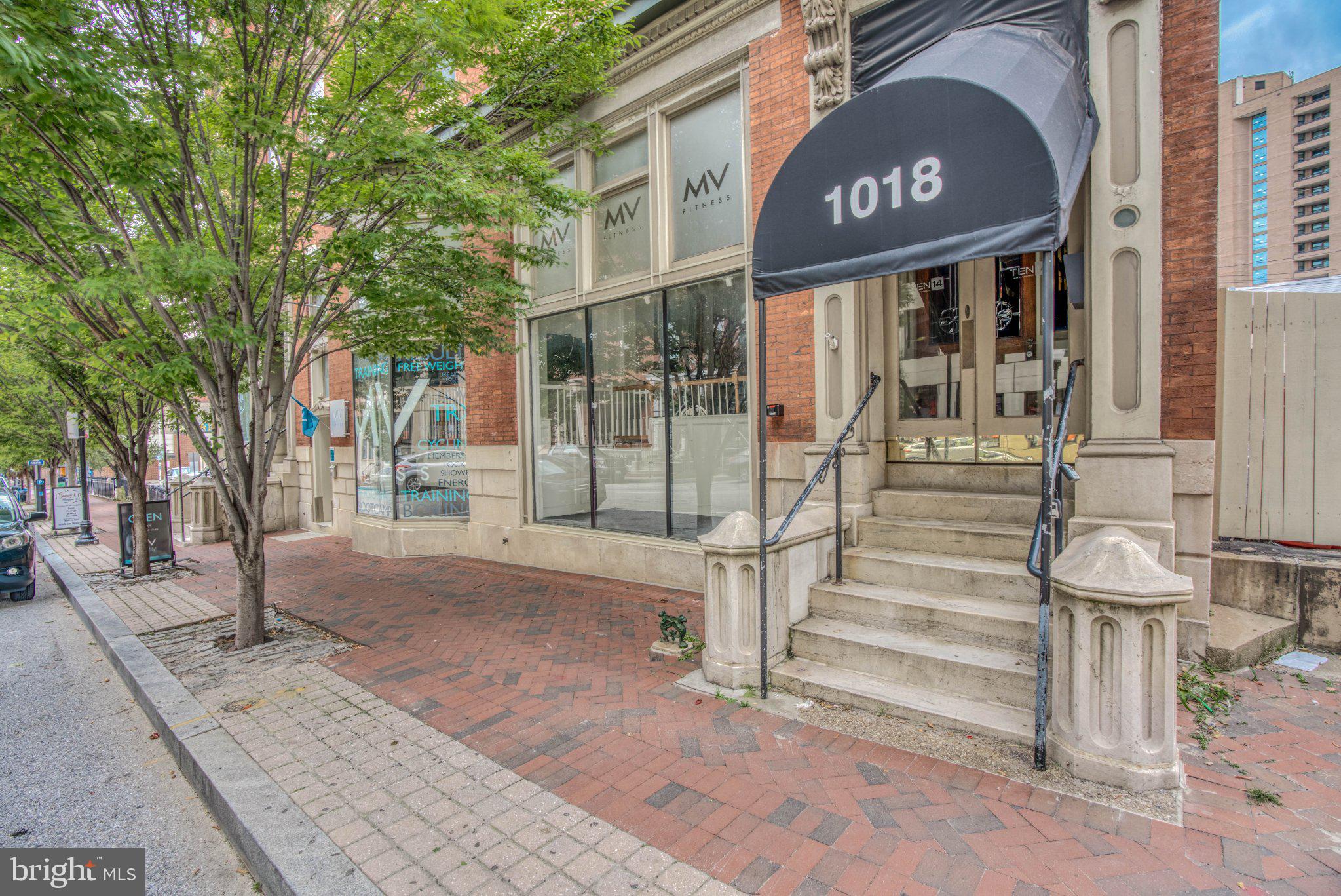 1018 North Charles Street, Unit R Baltimore, MD 21201 - Photo 17 of 17 Charming urban entrance with greenery.