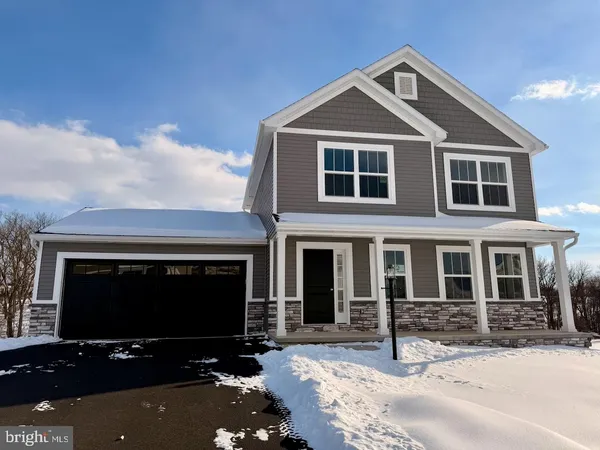 a front view of a house with yard
