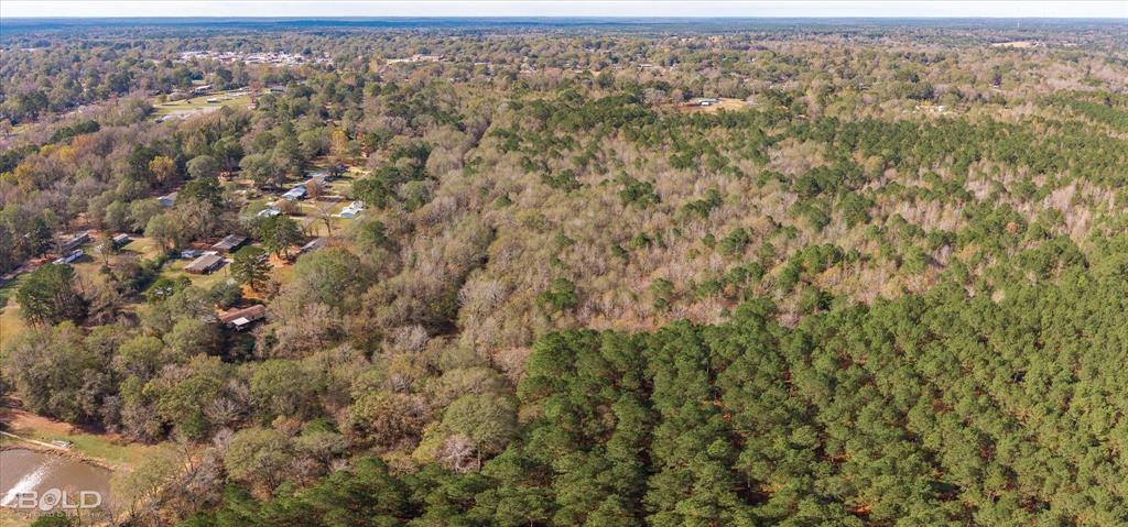 0 Camelia Street Vivian, LA 71082 - Photo 5 of 13 Aerial overview of property's location featuring a forest