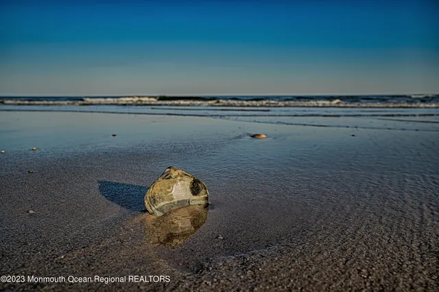 a kitchen with a sink cabinets and appliances