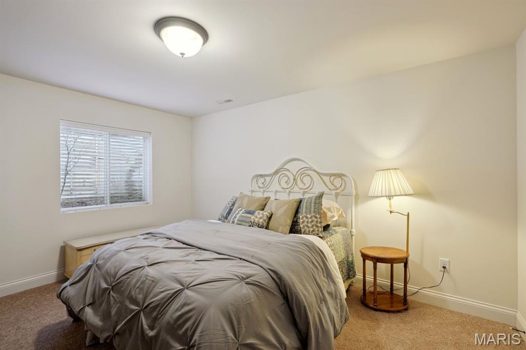 16202 Amber Vista Drive Ballwin, MO 63021 - Photo 15 of 21