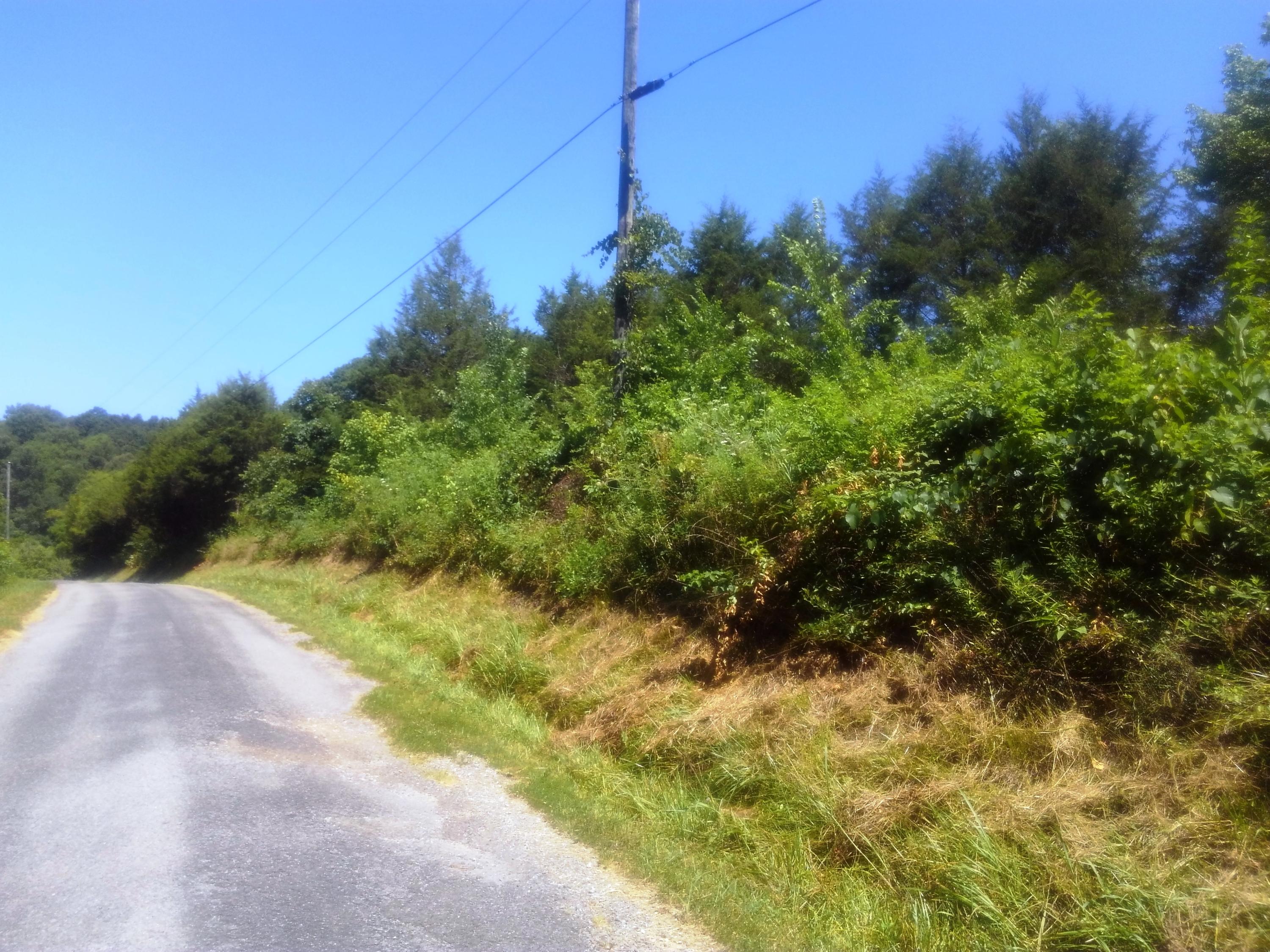 Lot 6 Smith Hollow Road, Unit 6 Greeneville, TN 37743 - Photo 4 of 6 Smith Hollow New 4