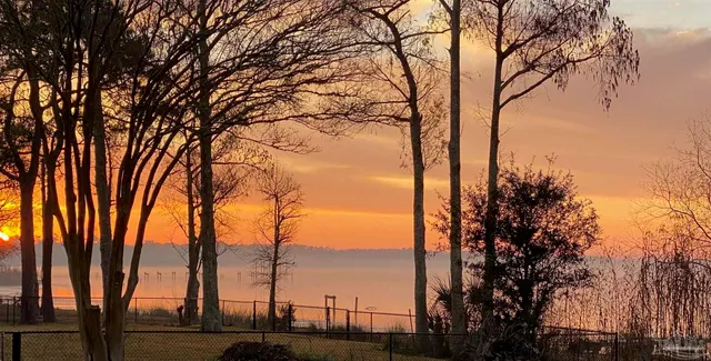 a view of lake with tree