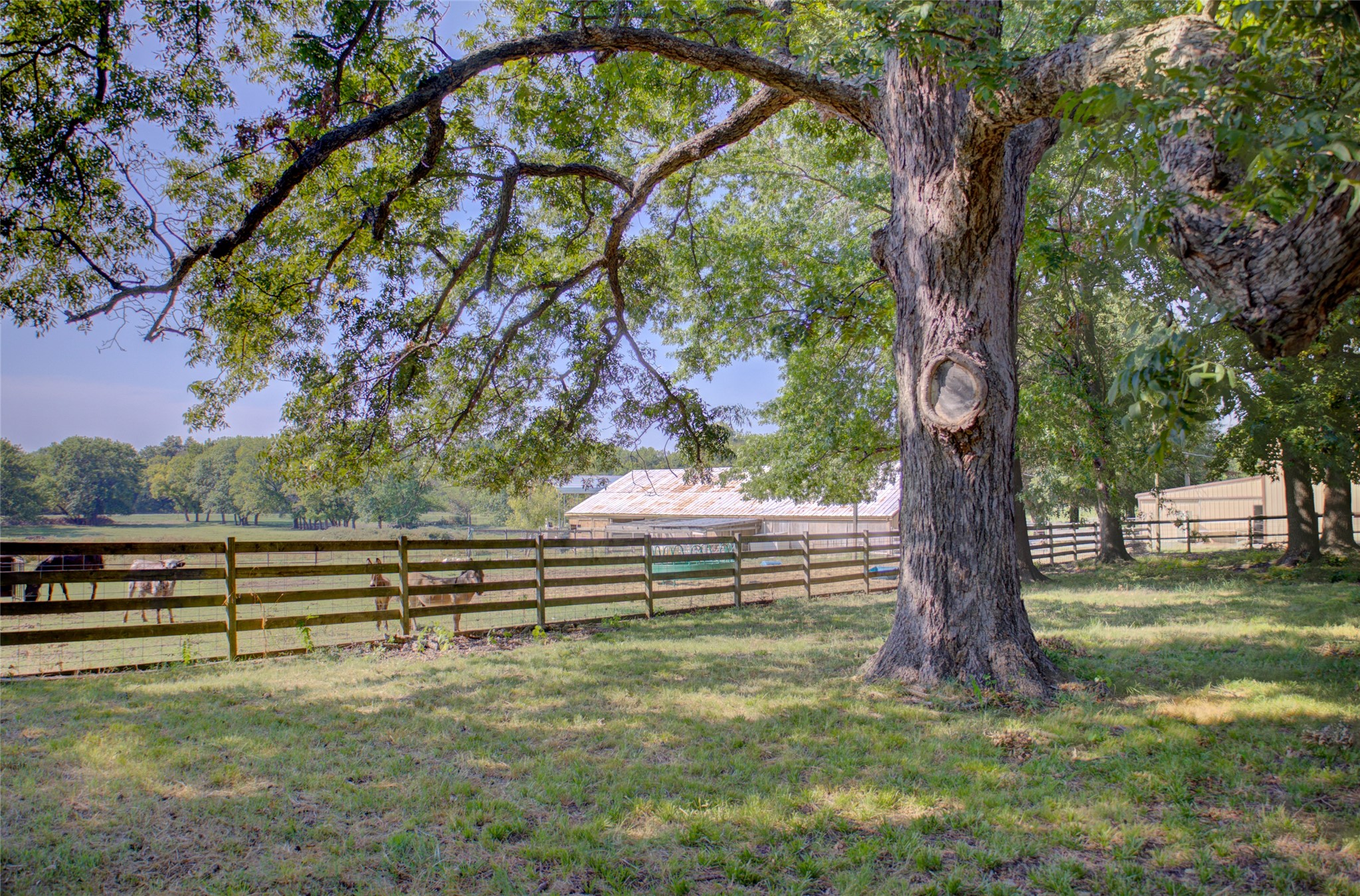 12420 South Garnett Road Broken Arrow, OK 74011 - Photo 44 of 44 Expansive grassy area with mature trees and a wood-slat fence