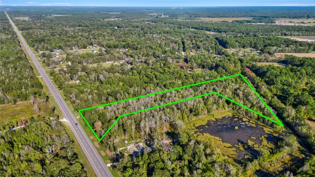 a view of a city with lush green forest