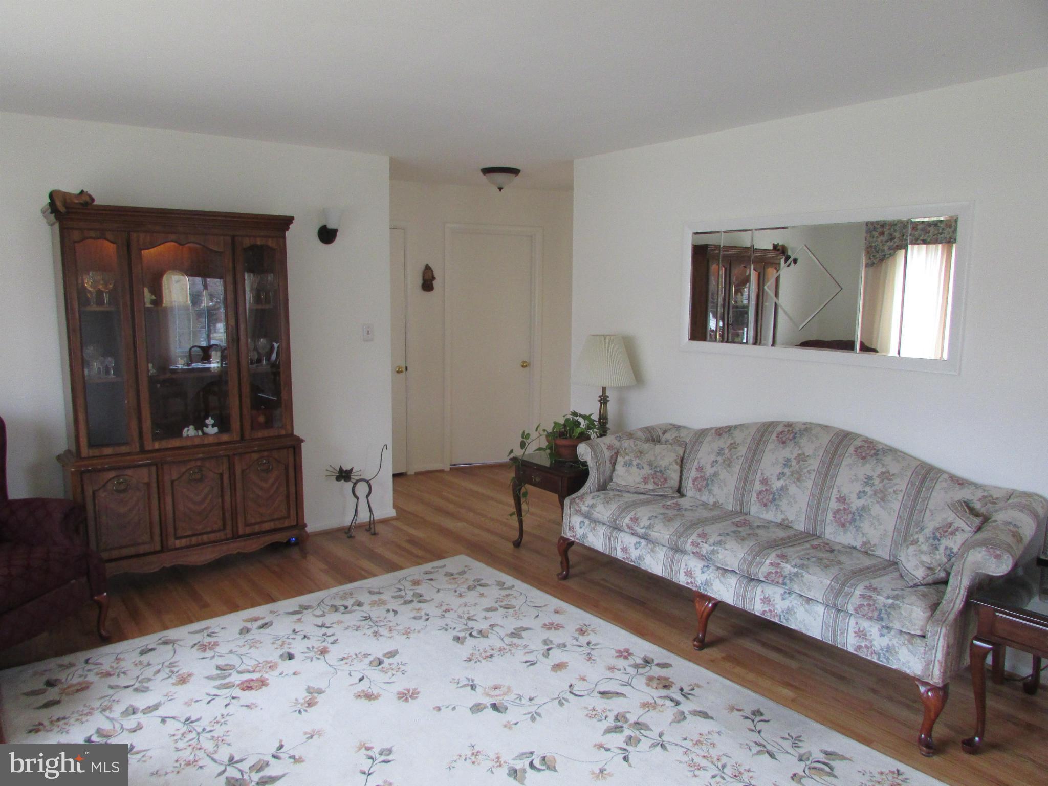 13308 Galvez Street Silver Spring, MD 20906 - Photo 19 of 28 Living Room