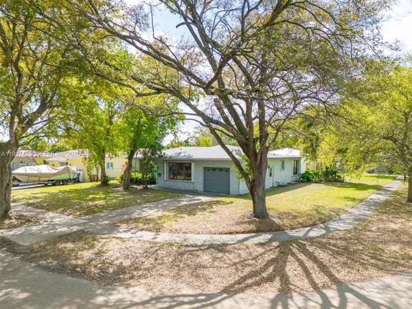 a view of a yard with plants and trees