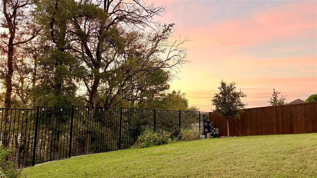 2502 Sun Grove Road Melissa, TX 75454 - Photo 38 of 40 a view of a yard with a house
