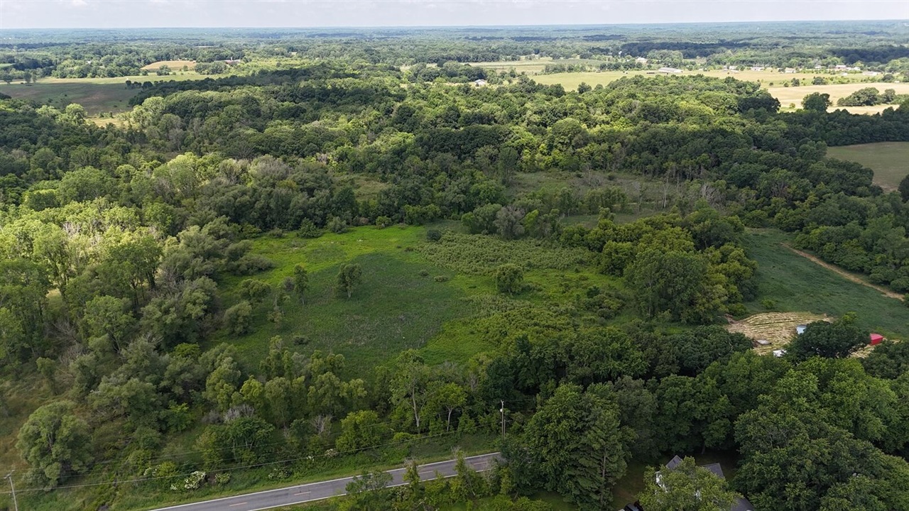 9500 North Meridian Road Pleasant Lake, MI 49272 - Photo 46 of 61