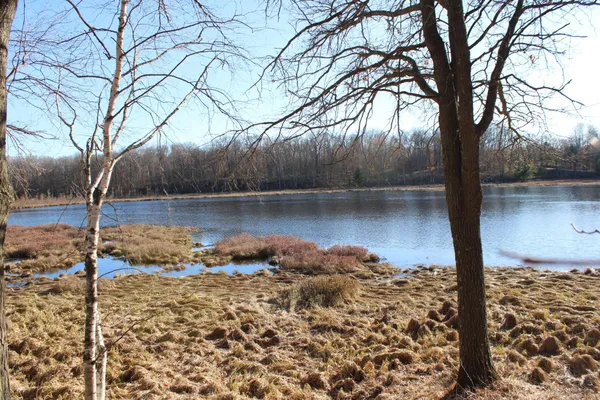 $399,000 | 24779 Larrabee Subdivision Road, Webster, WI 54893