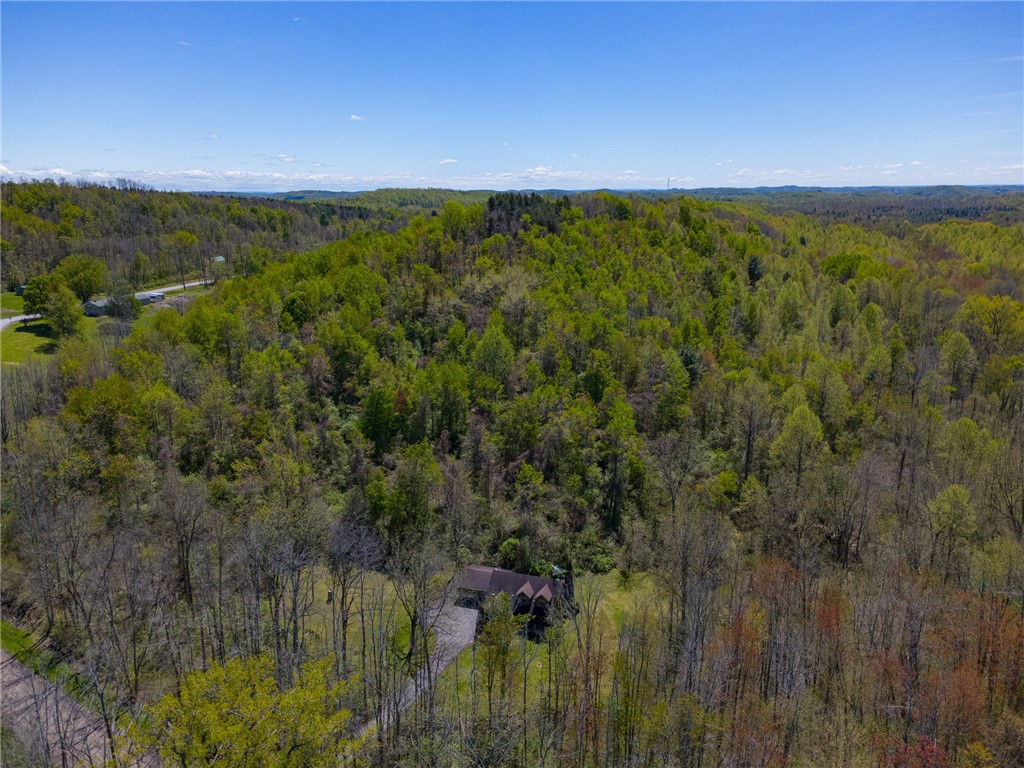 4397 Sebring Road Sodus, NY 14551 - Photo 5 of 43 A view of the country side here at this Sodus/Arca